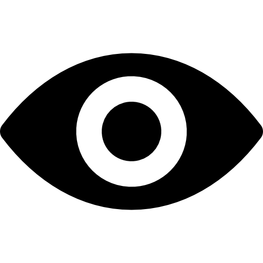 Password Visibility